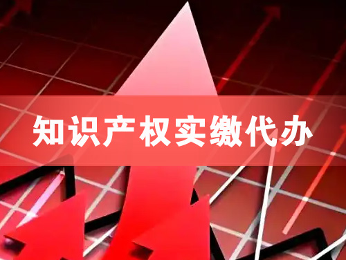 延安知识产权实缴资本代办